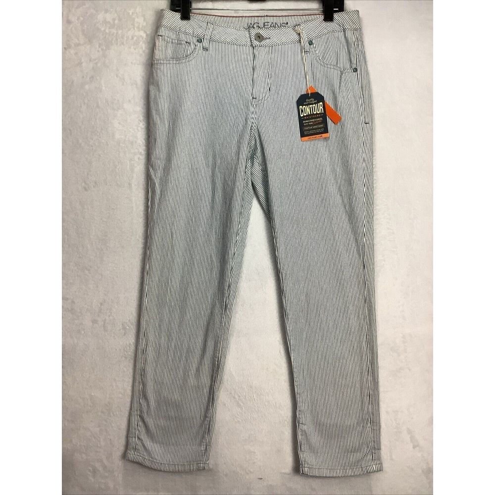 NWT Jag jeans Contour Waistband Pinstripe Women's Size 10 P girlfriend stretch